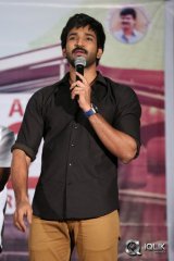 Sarrainodu Movie Release Press Meet